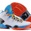 Air Jordan XX8 SE 6544 White/Blue